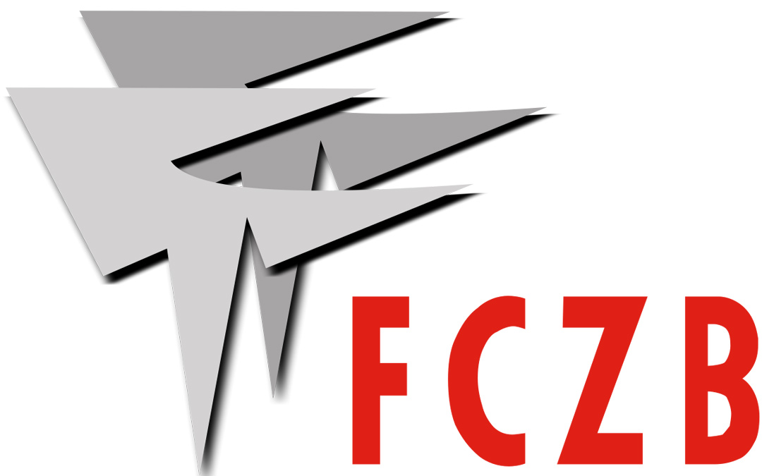 FCZB e.V.: Projekt: Porta – Medienkompetenzen als PDF-Download