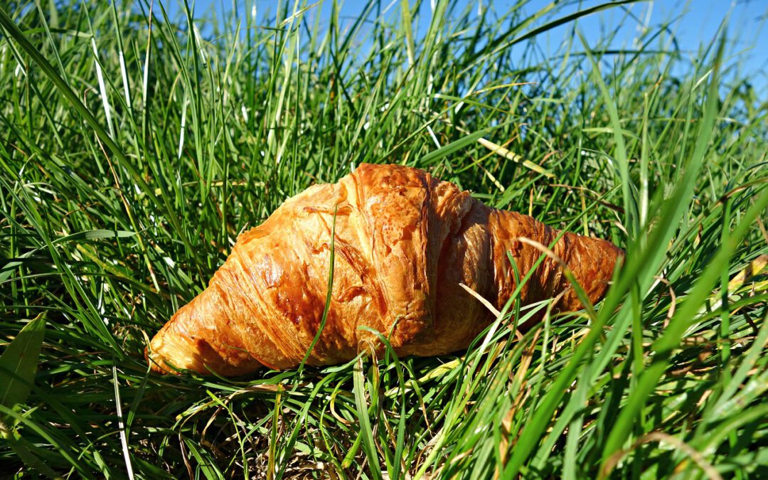 Das Bild zeigt ein Croissant auf einer Wiese
