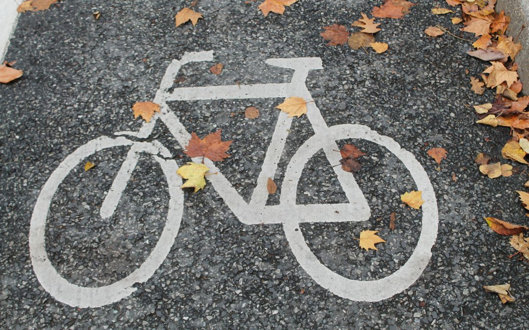 Fahrradzeichen auf einem Weg mit Herbstblättern