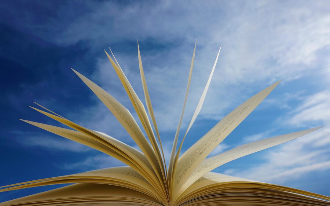 Das Foto zeigt ein augeschlagenes Buch und blauen Himmel