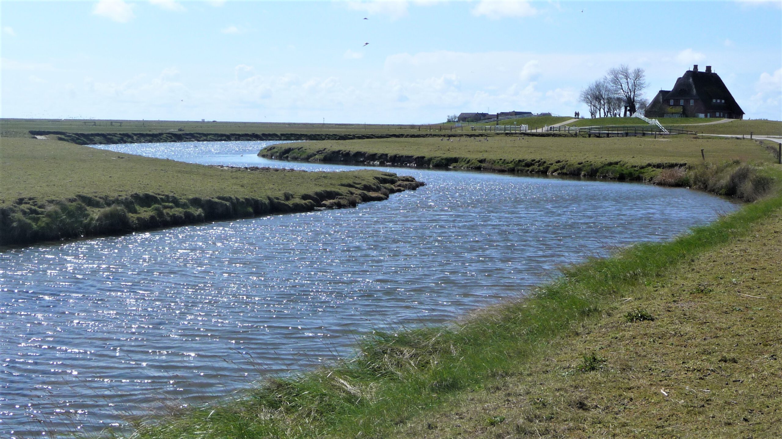 Mein Leben im Fluss – Workshop Biografisches Schreiben im RuT